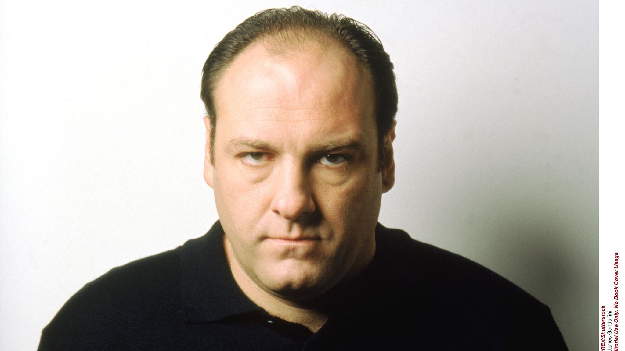 Tony soprano